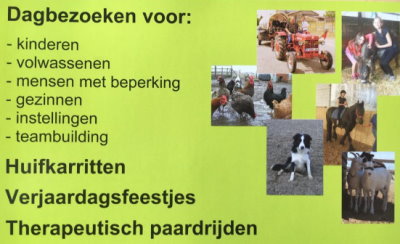 dagbezoeken